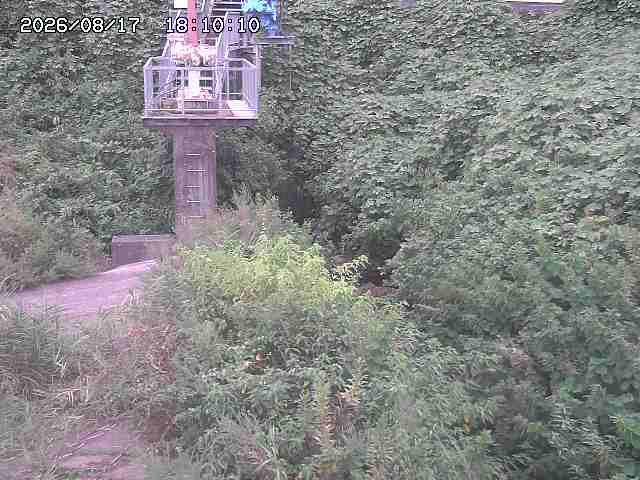 玉川３（上流）2026/08/17 20:40:00