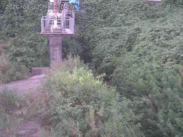 玉川３（上流）2026/08/17 20:40:00