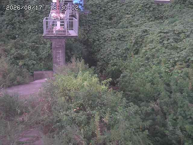 玉川３（上流）2026/08/17 20:40:00