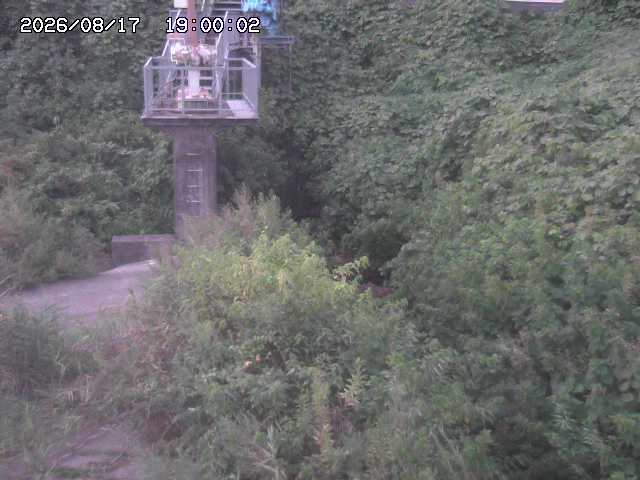 玉川３（上流）2026/08/17 20:40:00