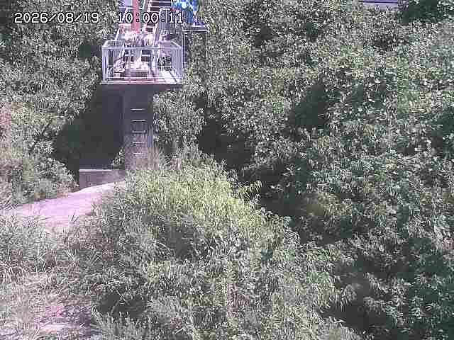 玉川３（上流）2026/08/20 9:20:00