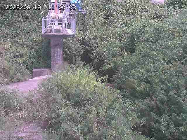 玉川３（上流）2026/08/20 9:20:00