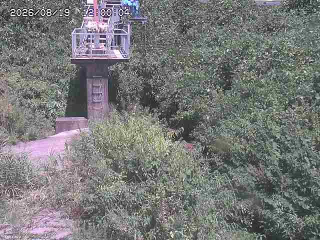 玉川３（上流）2026/08/20 9:20:00