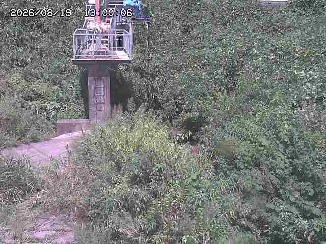 玉川３（上流）2026/08/20 9:20:00
