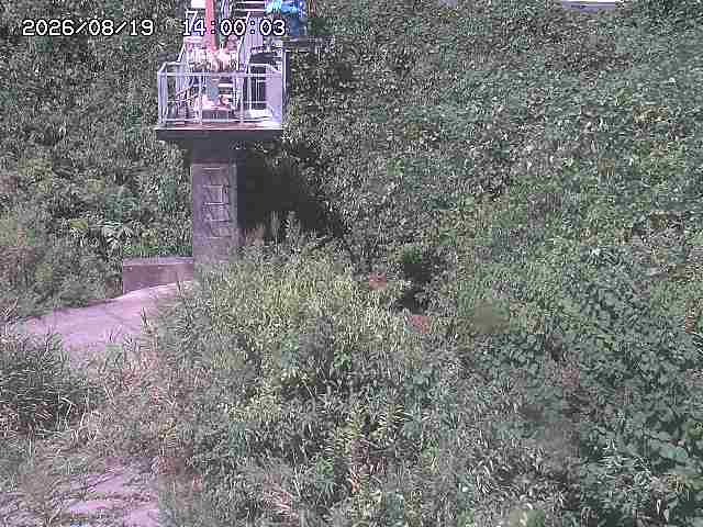 玉川３（上流）2026/08/20 9:20:00