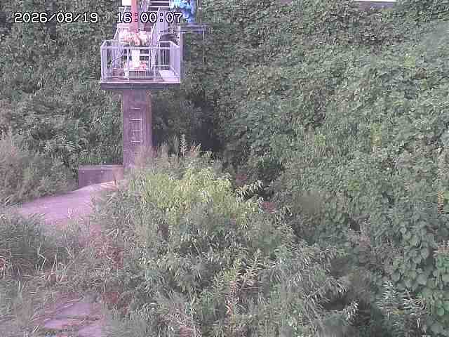 玉川３（上流）2026/08/20 9:20:00