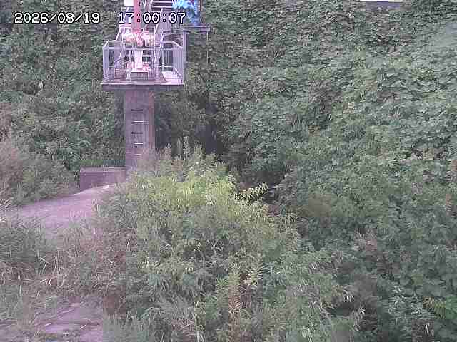 玉川３（上流）2026/08/20 9:20:00