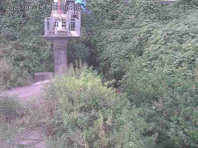 玉川３（上流）2026/08/20 9:20:00