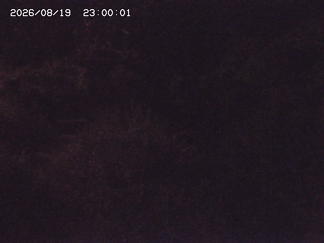 玉川３（上流）2026/08/20 9:20:00