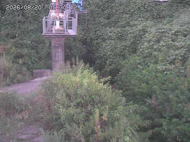 玉川３（上流）2026/08/20 9:20:00
