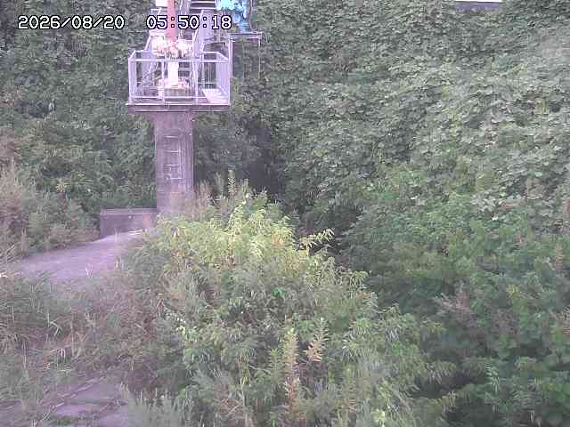 玉川３（上流）2026/08/20 9:20:00