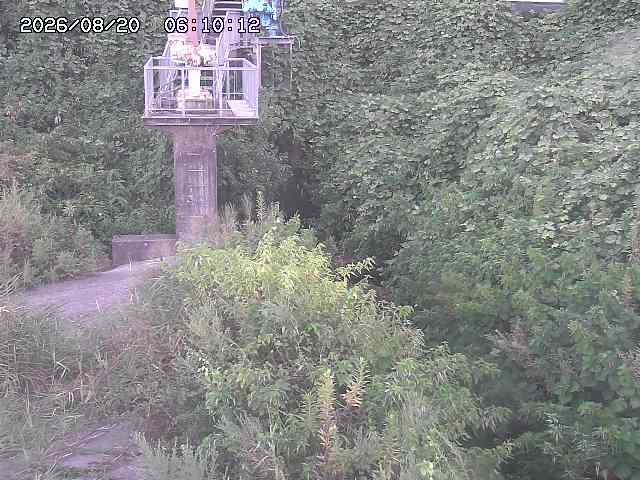 玉川３（上流）2026/08/20 9:20:00