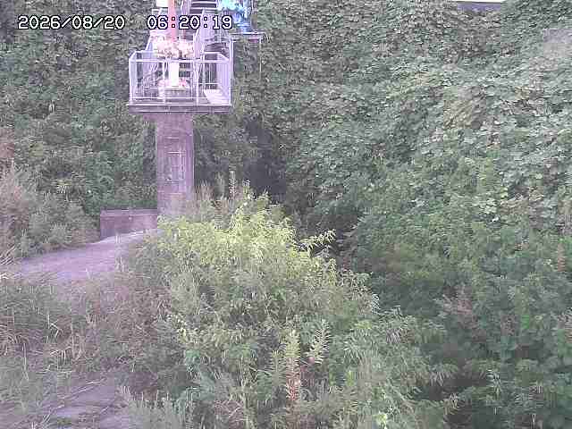 玉川３（上流）2026/08/20 9:20:00