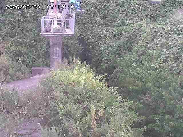 玉川３（上流）2026/08/20 9:20:00