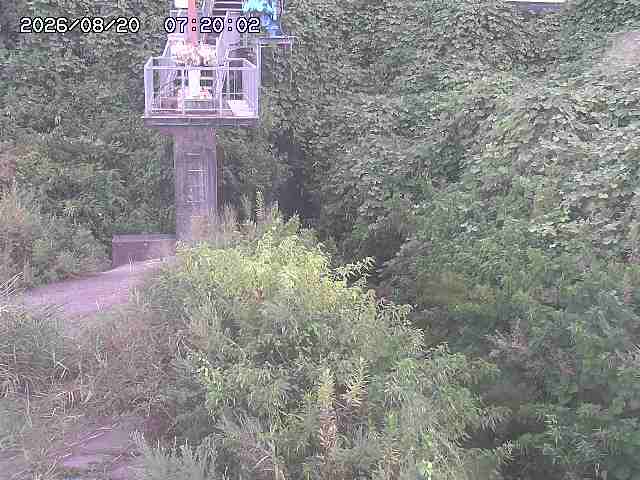 玉川３（上流）2026/08/20 9:20:00