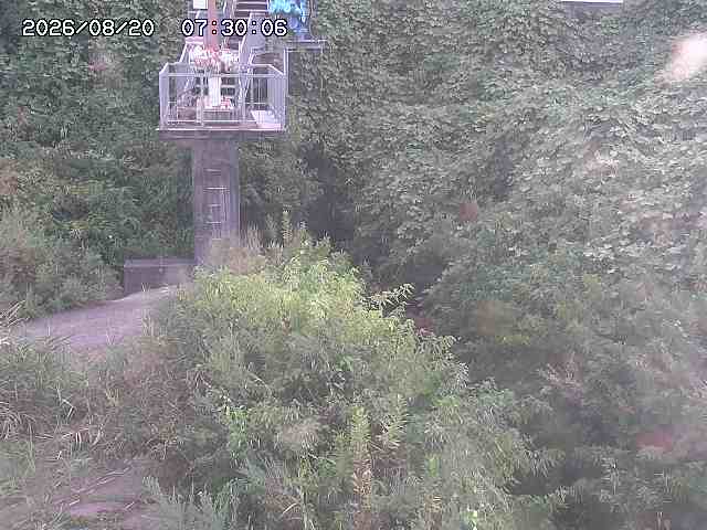 玉川３（上流）2026/08/20 9:20:00