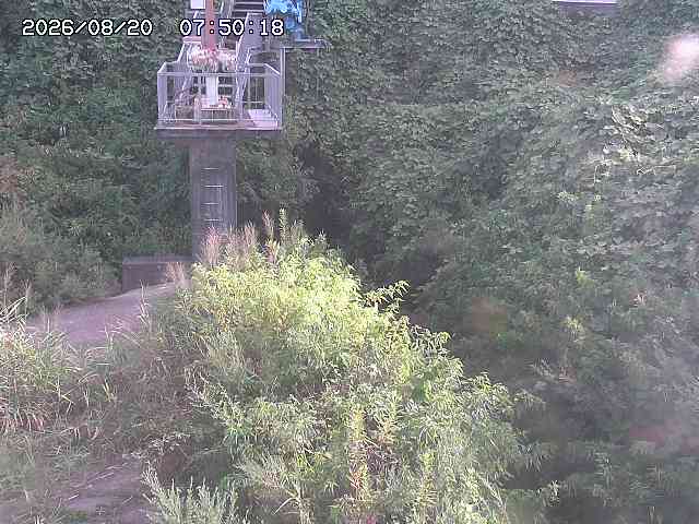 玉川３（上流）2026/08/20 9:20:00