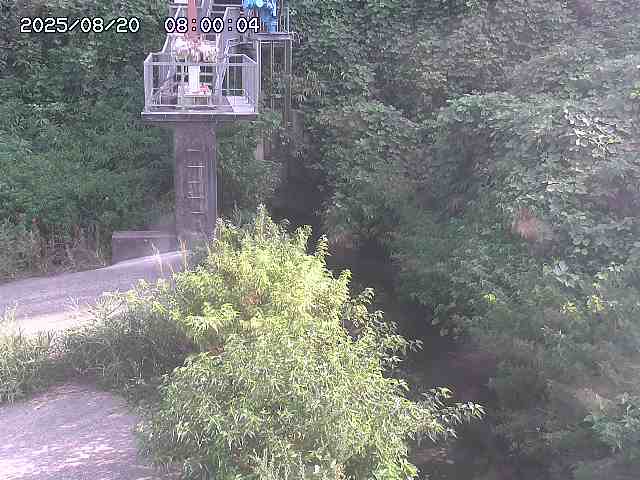 玉川３（上流）2026/08/20 9:20:00