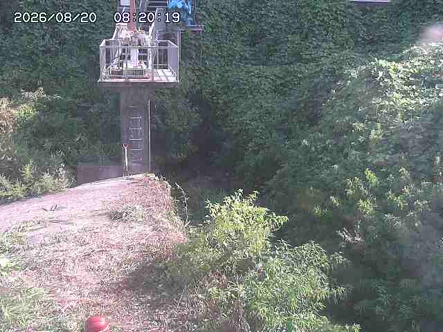 玉川３（上流）2026/08/20 9:20:00