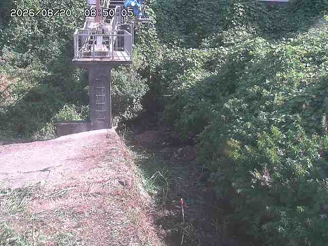 玉川３（上流）2026/08/20 9:20:00