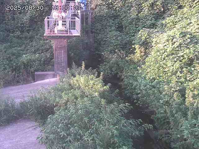 玉川３（上流）2025/08/31 9:20:00