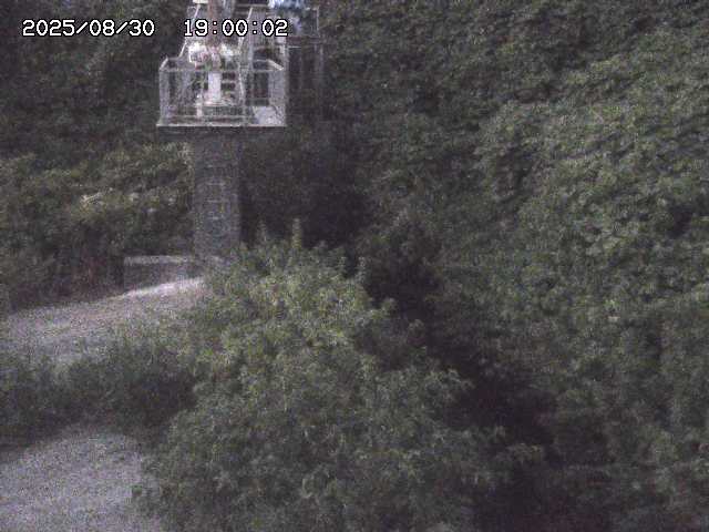 玉川３（上流）2025/08/31 9:20:00