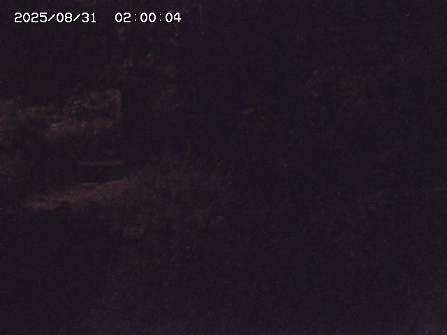 玉川３（上流）2025/08/31 9:20:00
