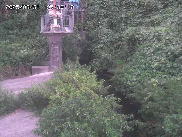 玉川３（上流）2025/08/31 9:20:00