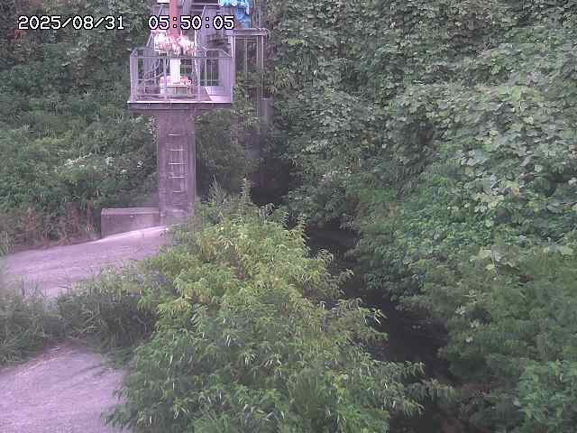 玉川３（上流）2025/08/31 9:20:00