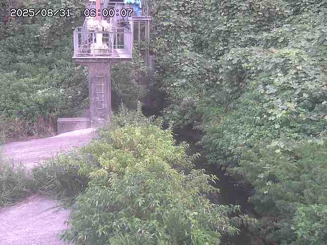 玉川３（上流）2025/08/31 9:20:00