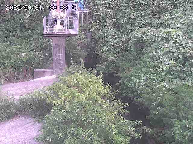 玉川３（上流）2025/08/31 9:20:00