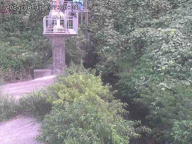 玉川３（上流）2025/08/31 9:20:00