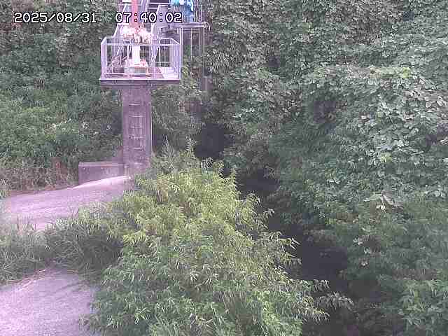 玉川３（上流）2025/08/31 9:20:00