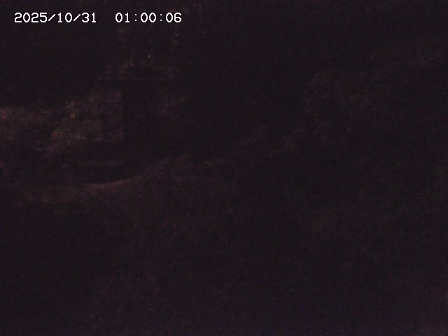 玉川3(上流)2025/11/01 0:00:00