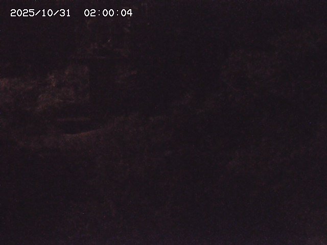 玉川3(上流)2025/11/01 0:00:00