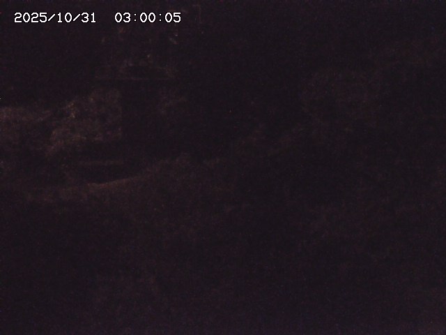 玉川3(上流)2025/11/01 0:00:00