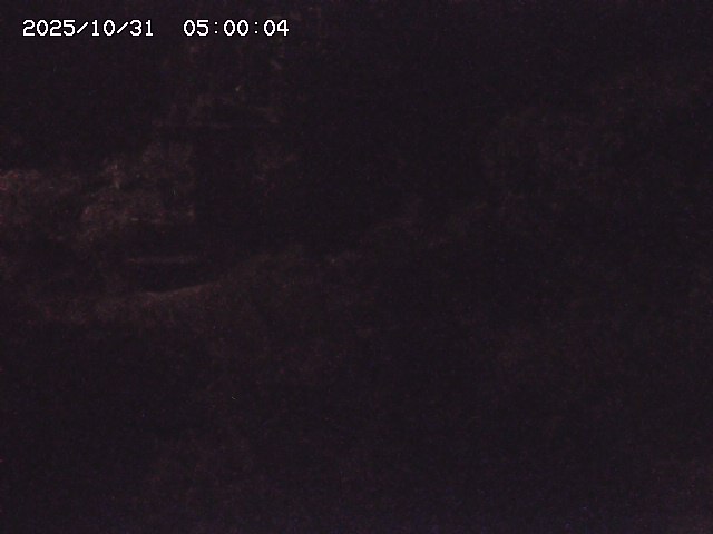 玉川3(上流)2025/11/01 0:00:00