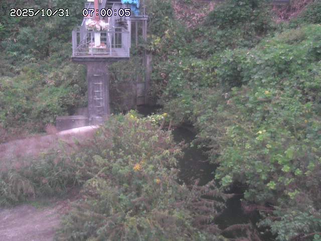 玉川3(上流)2025/11/01 0:00:00