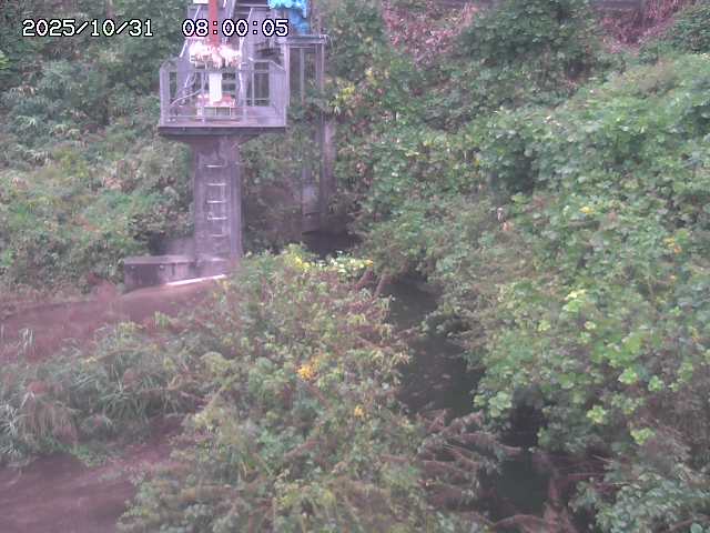 玉川3(上流)2025/11/01 0:00:00