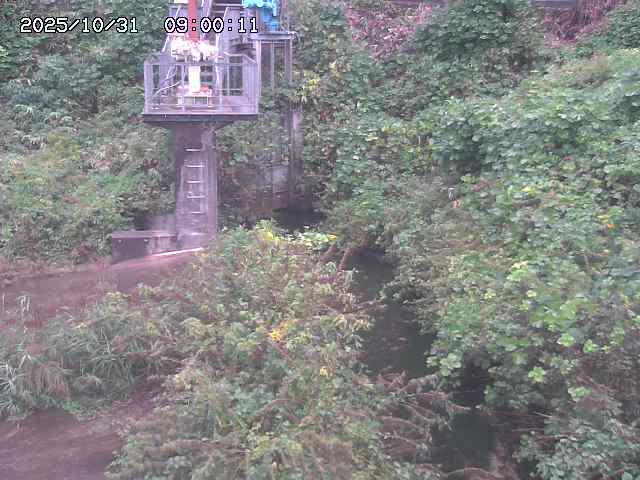 玉川3(上流)2025/11/01 0:00:00