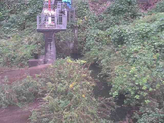 玉川3(上流)2025/11/01 0:00:00