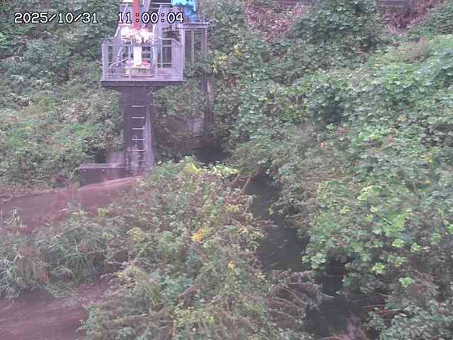 玉川3(上流)2025/11/01 0:00:00