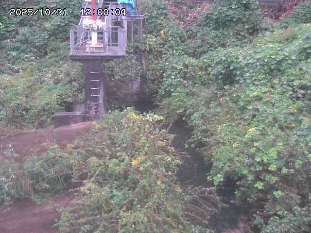 玉川3(上流)2025/11/01 0:00:00