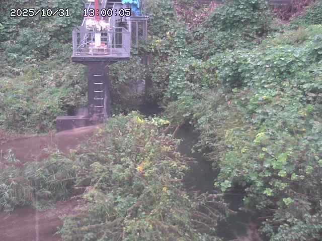 玉川3(上流)2025/11/01 0:00:00