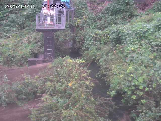 玉川3(上流)2025/11/01 0:00:00