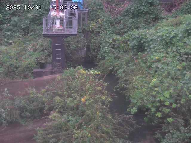 玉川3(上流)2025/11/01 0:00:00