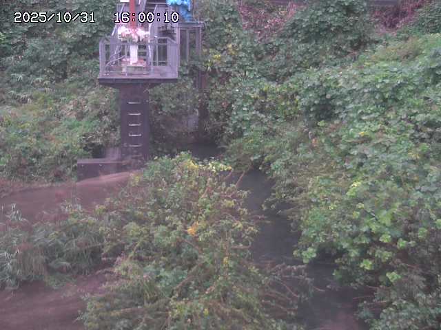 玉川3(上流)2025/11/01 0:00:00