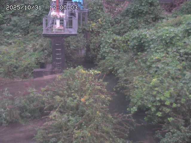 玉川3(上流)2025/11/01 0:00:00