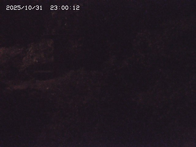 玉川3(上流)2025/11/01 0:00:00