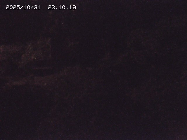 玉川3(上流)2025/11/01 0:00:00